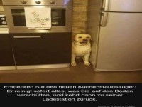 Der neue K�chenstaubsauger