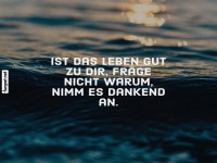 Dankbarkeit fr das Leben