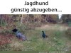 weiter