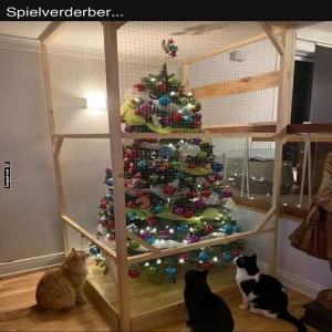 fun-Bild: Katzensicherer Tannenbaum-Bunker