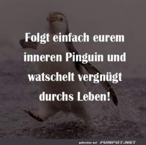 Pinguin-Power-f�r-den-Alltag.jpg auf www.funpot.net