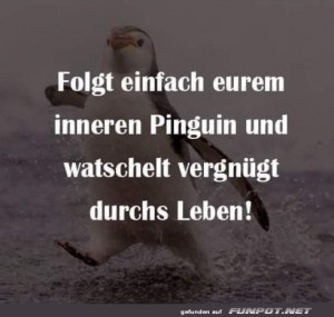 fun-Bild: Pinguin-Power f&uuml;r den Alltag