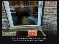 Lieferbest�tigung mit Katzengarantie