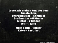 Familienplanung: Start einer Katzen�ra!