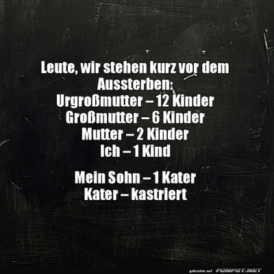 Familienplanung:-Start-einer-Katzen&auml;ra!.jpg von Roger05