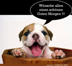 Guten-Morgen.jpg auf www.funpot.net