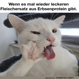 Katzen-Feinschmecker-auf-Erbsenprotein-Mission.jpg von Lucie37