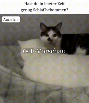 Gut geschlafen?