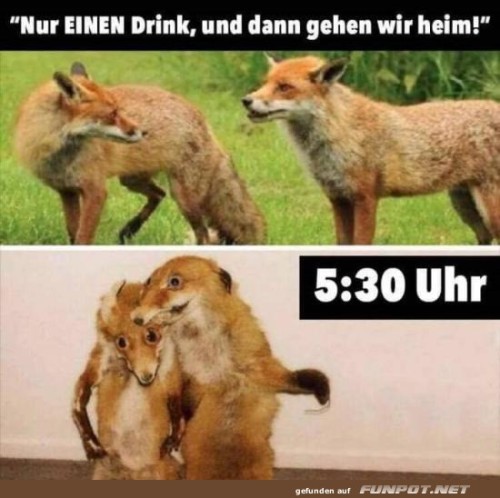 Nur-einen-Drink.jpg auf www.funpot.net