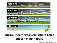 Sturm