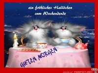 Guten Morgen