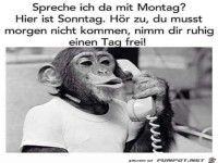 spreche ich da mit Montag?.......