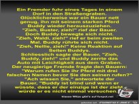 Ein Fremder fuhr eines Tages in einem Dorf in den...