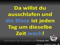 Die Blase
