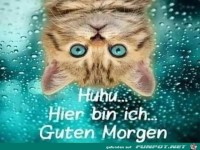 Guten Morgen