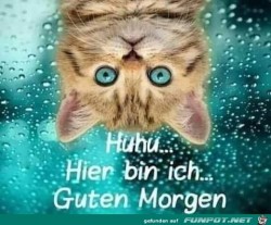 Guten-Morgen.jpg auf www.funpot.net