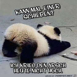 Bitte-schieben.jpg auf www.funpot.net
