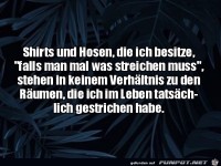 Shirts frs Streichen