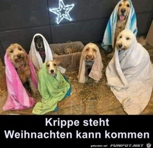 Tierische-Krippe-steht.jpg auf www.funpot.net