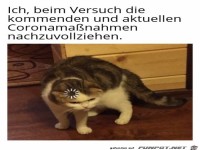 Das blickt doch keine Sau