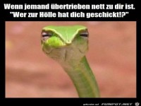 Wenn jemand �bertrieben nett ist