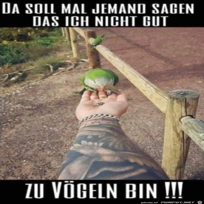 Da-kann-keiner-mehr-was-sagen.jpg von Ava