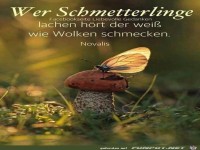Wer Schmetterlinge lachen hrt