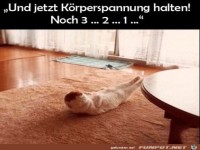 K�rperspannung halten