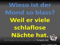 Schlaflose N�chte