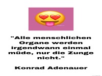 Alle menschlichen Organe