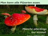 Pilze essen