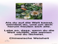 als du auf die welt kamst