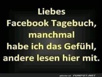Gedanken im Facebook Tagebuch
