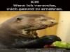 weiter