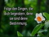 weiter