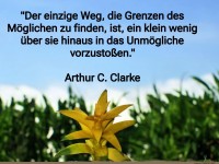der einzige weg