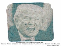 Sondermeldung aus Washington - Schimmelwunder