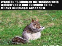 Nach 15 Minuten Training