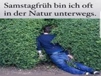 Wenn der Busch den Spaziergang sabotiert