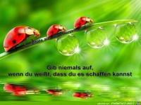 1385361 278501222274857 1388871674 n