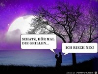 Grillen