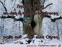 Sind die Voegel an den Aesten festgefroren