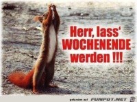 wochenende d