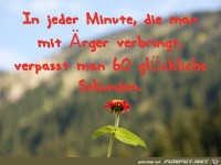 spruch-minuten-aerger