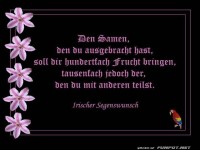 Irischer Segenswunsch 9