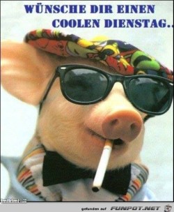 Coolen-Dienstag.jpg auf www.funpot.net