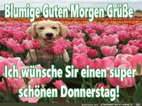 Donnerstag