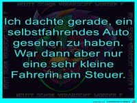 Selbstfahrendes Auto