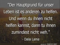 Der Hauptgrund