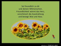 Sei freundlich